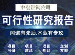 荆门项目怎么写可研报告模板